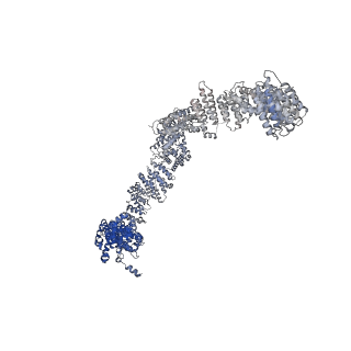 23937_7mq9_LM_v1-1
Cryo-EM structure of the human SSU processome, state pre-A1*