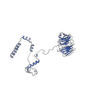 23937_7mq9_LS_v1-1
Cryo-EM structure of the human SSU processome, state pre-A1*