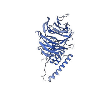23937_7mq9_LU_v1-1
Cryo-EM structure of the human SSU processome, state pre-A1*