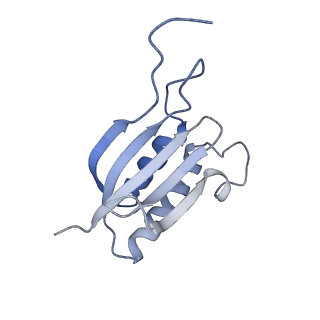 23937_7mq9_NG_v1-1
Cryo-EM structure of the human SSU processome, state pre-A1*