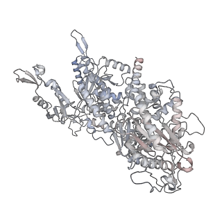 23937_7mq9_NH_v1-1
Cryo-EM structure of the human SSU processome, state pre-A1*