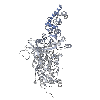 23937_7mq9_NK_v1-1
Cryo-EM structure of the human SSU processome, state pre-A1*