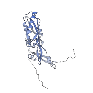 23937_7mq9_NM_v1-1
Cryo-EM structure of the human SSU processome, state pre-A1*