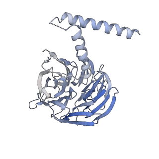 23937_7mq9_SG_v1-1
Cryo-EM structure of the human SSU processome, state pre-A1*