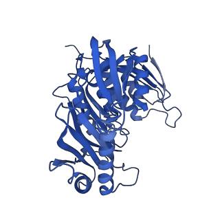 23937_7mq9_SH_v1-1
Cryo-EM structure of the human SSU processome, state pre-A1*