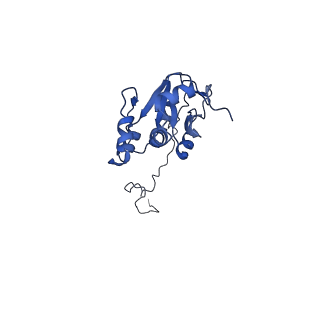 23937_7mq9_SL_v1-1
Cryo-EM structure of the human SSU processome, state pre-A1*
