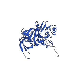 23938_7mqa_L4_v1-1
Cryo-EM structure of the human SSU processome, state post-A1