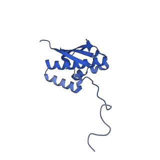 23938_7mqa_LC_v1-1
Cryo-EM structure of the human SSU processome, state post-A1