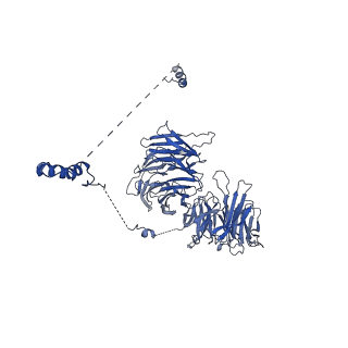 23938_7mqa_LH_v1-1
Cryo-EM structure of the human SSU processome, state post-A1