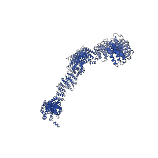 23938_7mqa_LM_v1-1
Cryo-EM structure of the human SSU processome, state post-A1