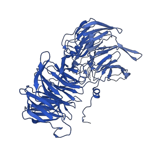 23938_7mqa_LN_v1-1
Cryo-EM structure of the human SSU processome, state post-A1