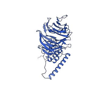 23938_7mqa_LU_v1-1
Cryo-EM structure of the human SSU processome, state post-A1