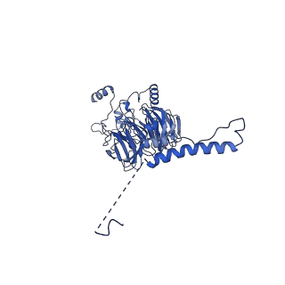 23938_7mqa_LW_v1-1
Cryo-EM structure of the human SSU processome, state post-A1