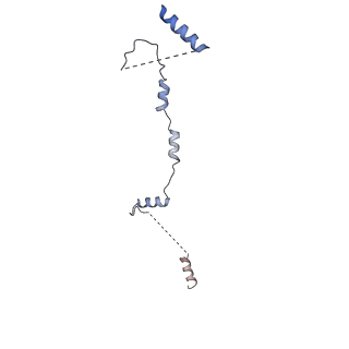 23938_7mqa_LY_v1-1
Cryo-EM structure of the human SSU processome, state post-A1