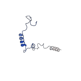 23938_7mqa_ND_v1-1
Cryo-EM structure of the human SSU processome, state post-A1