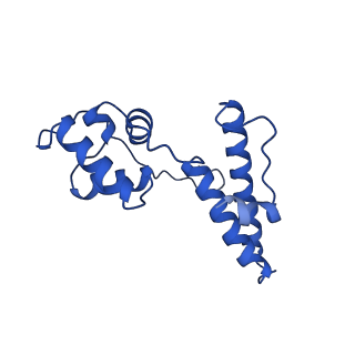 23938_7mqa_NF_v1-1
Cryo-EM structure of the human SSU processome, state post-A1