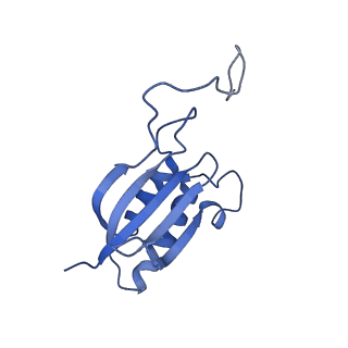 23938_7mqa_NG_v1-1
Cryo-EM structure of the human SSU processome, state post-A1