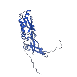 23938_7mqa_NM_v1-1
Cryo-EM structure of the human SSU processome, state post-A1