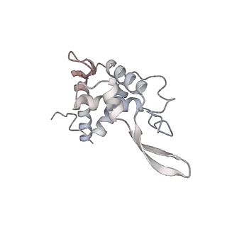 23938_7mqa_NP_v1-1
Cryo-EM structure of the human SSU processome, state post-A1