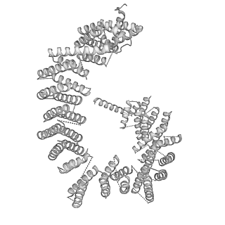 23938_7mqa_NR_v1-1
Cryo-EM structure of the human SSU processome, state post-A1