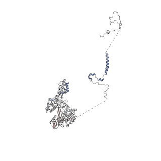 23938_7mqa_NS_v1-1
Cryo-EM structure of the human SSU processome, state post-A1