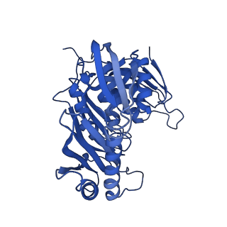 23938_7mqa_SH_v1-1
Cryo-EM structure of the human SSU processome, state post-A1