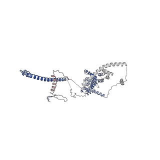 23938_7mqa_ST_v1-1
Cryo-EM structure of the human SSU processome, state post-A1