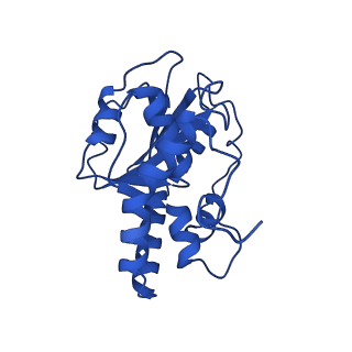 23941_7mqb_A_v1-1
Bartonella henselae NrnC bound to pGG. D4 Symmetry