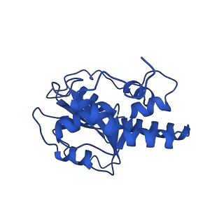 23941_7mqb_C_v1-1
Bartonella henselae NrnC bound to pGG. D4 Symmetry