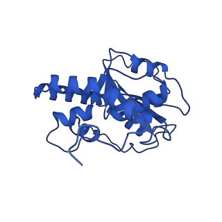 23941_7mqb_G_v1-1
Bartonella henselae NrnC bound to pGG. D4 Symmetry