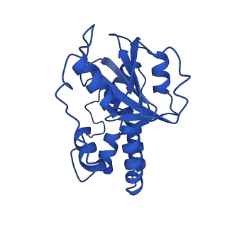 23941_7mqb_I_v1-1
Bartonella henselae NrnC bound to pGG. D4 Symmetry