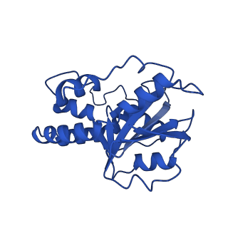 23941_7mqb_K_v1-1
Bartonella henselae NrnC bound to pGG. D4 Symmetry