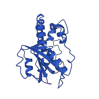 23941_7mqb_M_v1-1
Bartonella henselae NrnC bound to pGG. D4 Symmetry