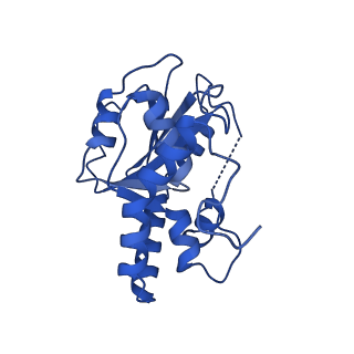 23943_7mqd_A_v1-1
Bartonella henselae NrnC complexed with pAGG. D4 symmetry.