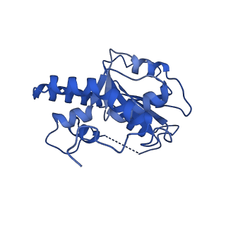 23943_7mqd_G_v1-1
Bartonella henselae NrnC complexed with pAGG. D4 symmetry.