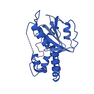23943_7mqd_I_v1-1
Bartonella henselae NrnC complexed with pAGG. D4 symmetry.