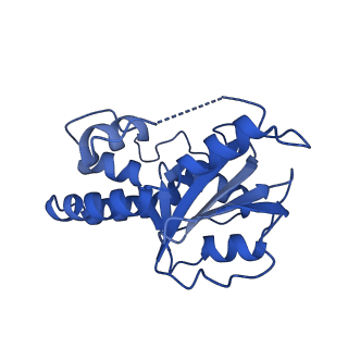 23943_7mqd_K_v1-1
Bartonella henselae NrnC complexed with pAGG. D4 symmetry.