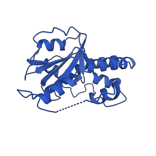 23943_7mqd_O_v1-1
Bartonella henselae NrnC complexed with pAGG. D4 symmetry.