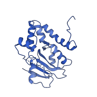 23944_7mqe_E_v1-1
Bartonella henselae NrnC complexed with pAGG. C1 reconstruction.