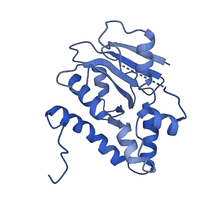 23944_7mqe_I_v1-1
Bartonella henselae NrnC complexed with pAGG. C1 reconstruction.