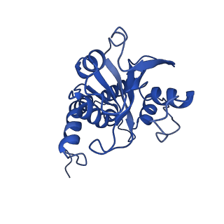 23944_7mqe_O_v1-1
Bartonella henselae NrnC complexed with pAGG. C1 reconstruction.