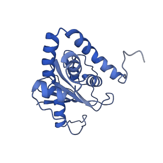 23946_7mqg_G_v1-1
Bartonella henselae NrnC complexed with pAAAGG. C1 reconstruction.