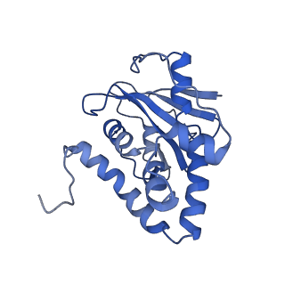 23946_7mqg_I_v1-1
Bartonella henselae NrnC complexed with pAAAGG. C1 reconstruction.