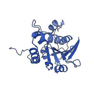23946_7mqg_K_v1-1
Bartonella henselae NrnC complexed with pAAAGG. C1 reconstruction.