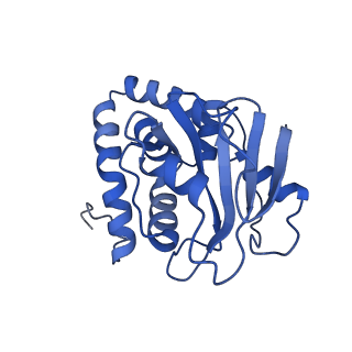 23946_7mqg_M_v1-1
Bartonella henselae NrnC complexed with pAAAGG. C1 reconstruction.