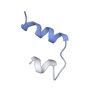 23949_7mqo_A_v1-1
The insulin receptor ectodomain in complex with a venom hybrid insulin analog - "head" region
