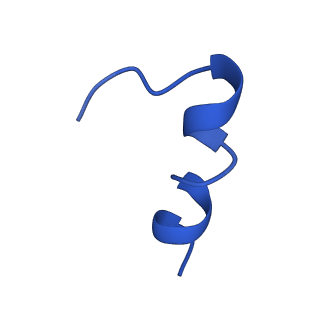 23949_7mqo_D_v1-1
The insulin receptor ectodomain in complex with a venom hybrid insulin analog - "head" region