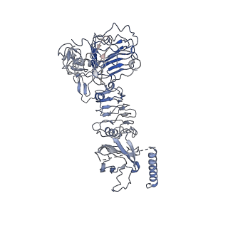 23949_7mqo_E_v1-1
The insulin receptor ectodomain in complex with a venom hybrid insulin analog - "head" region