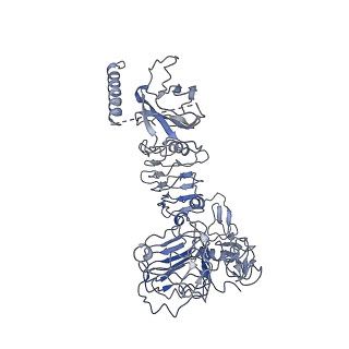 23949_7mqo_F_v1-1
The insulin receptor ectodomain in complex with a venom hybrid insulin analog - "head" region