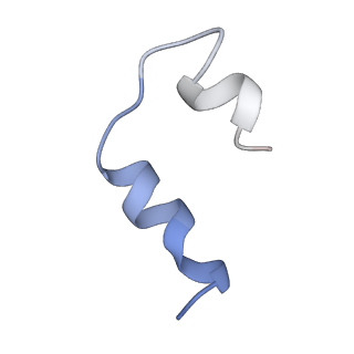 23950_7mqr_C_v1-1
The insulin receptor ectodomain in complex with four venom hybrid insulins - symmetric conformation